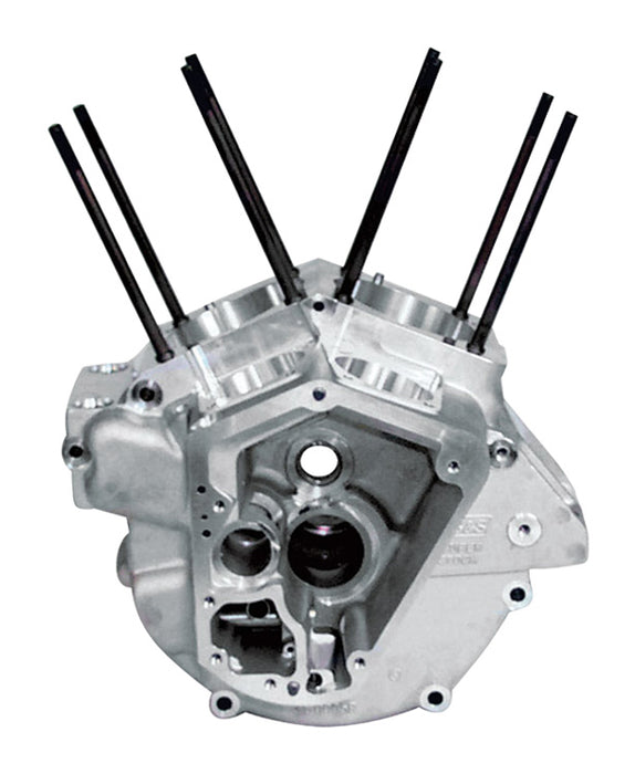 Engine Crankcase S&S Big Twin 1984 / 1991 Natural Finish