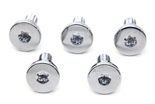 Load image into Gallery viewer, Chrome Front Brake Disc Bolt Set 2006 / 2017 FXD with spoke or wire cast wheel