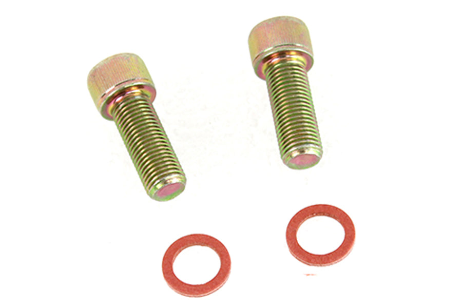 Damper Fork Tube Screw and Washer Kit Zinc Plated 1973 / 1974 XLH 1973 / 1974 XLCH 1973 / 1977 FX