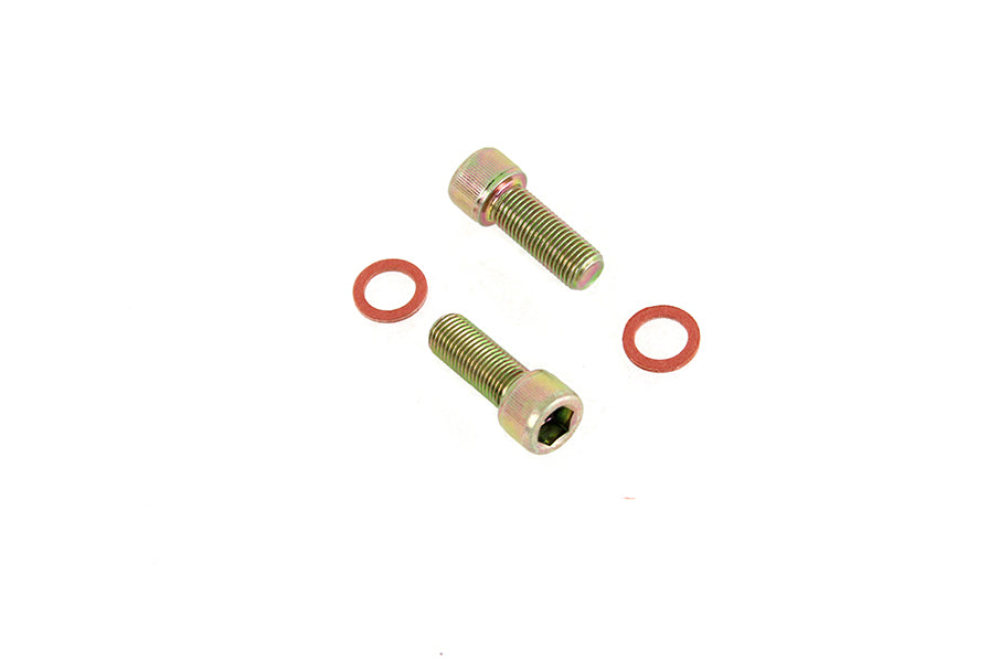 Damper Fork Tube Screw and Washer Kit Zinc Plated 1973 / 1974 XLH 1973 / 1974 XLCH 1973 / 1977 FX