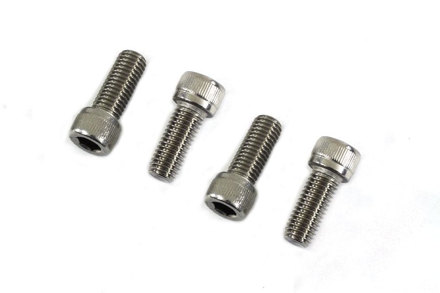Fork Slider Cover Screw Set 1984 / 1999 FLT