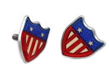 Load image into Gallery viewer, License Plate Bolt Set 0 /  Custom application