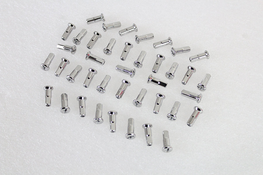 Spoke 40 Piece Stainless Steel Nipple Set 1936 / 1952 WL Front