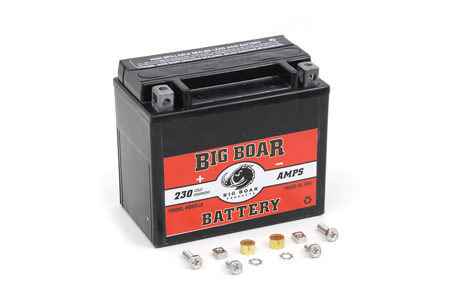 Big Boar Mini Battery 0 /  Custom application0 /  Custom application