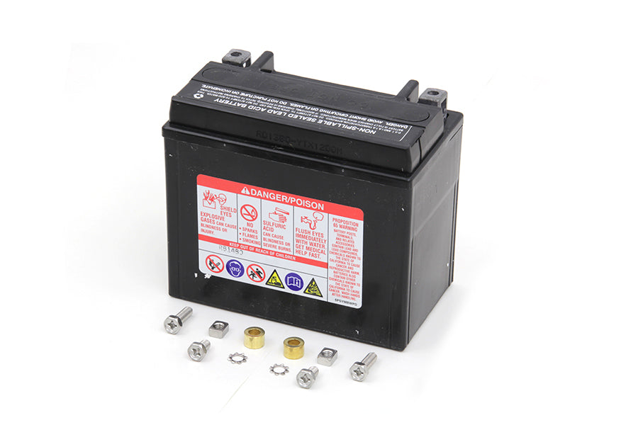 Big Boar Mini Battery 0 /  Custom application0 /  Custom application